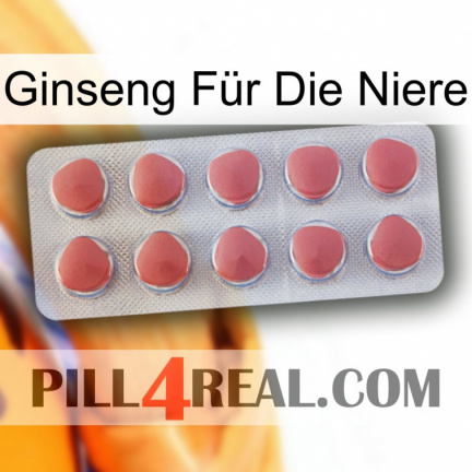 Ginseng Für Die Niere 18